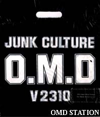 Junk Culture